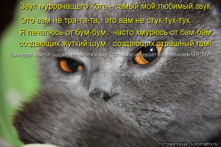 Звук мурррчащего Кота - самый мой любимый звук. Это вам не тра-та-та, это вам не стук-тук-тук. Я ... Котоматрица: Звук мурррчащего Кота - самый мой любимый звук. Это вам не тра-та-та, это вам не стук-тук-тук. Я печалюсь от бум-бум, часто хмурюсь от бам-бам