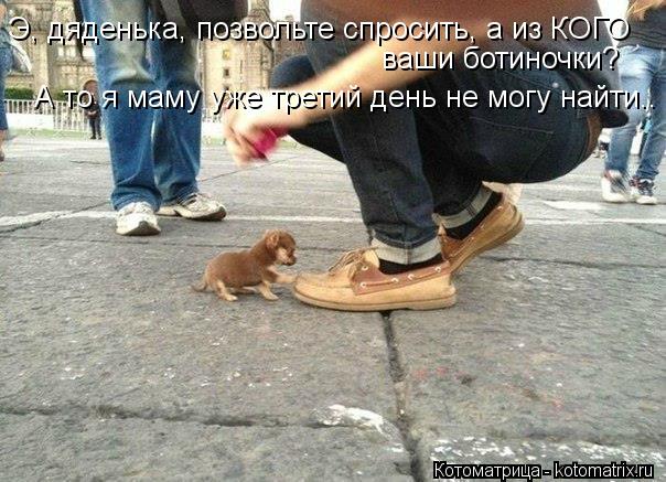 Э, дяденька, позвольте спросить, а из КОГО ваши ботиночки? А то я маму уже третий день не могу найти.... Котоматрица: Э, дяденька, позвольте спросить, а из КОГО ваши ботиночки? А то я маму уже третий день не могу найти..