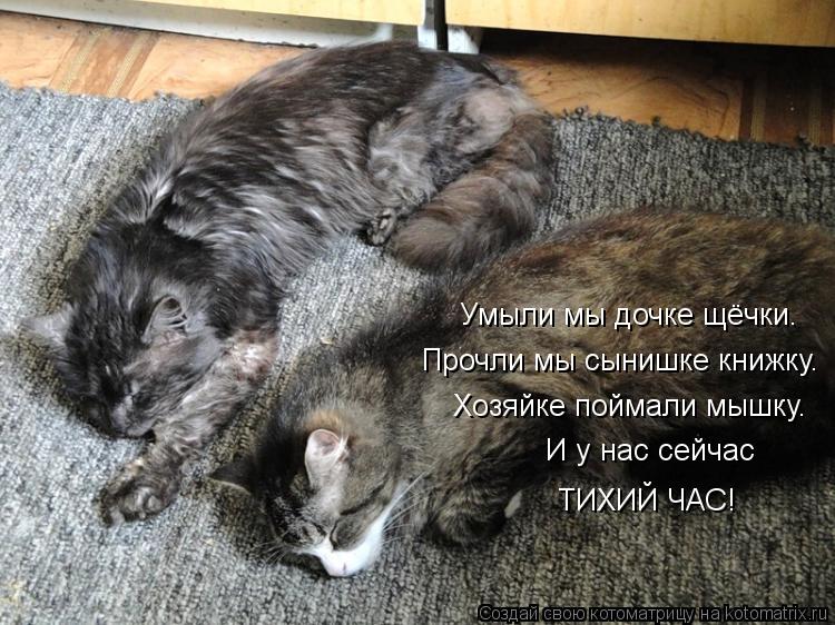 Умыли мы дочке щёчки. Прочли мы сынишке книжку. Хозяйке поймали мышку. И у нас сейчас ТИХИЙ ЧАС!... Котоматрица: Умыли мы дочке щёчки. Прочли мы сынишке книжку. Хозяйке поймали мышку. И у нас сейчас ТИХИЙ ЧАС!