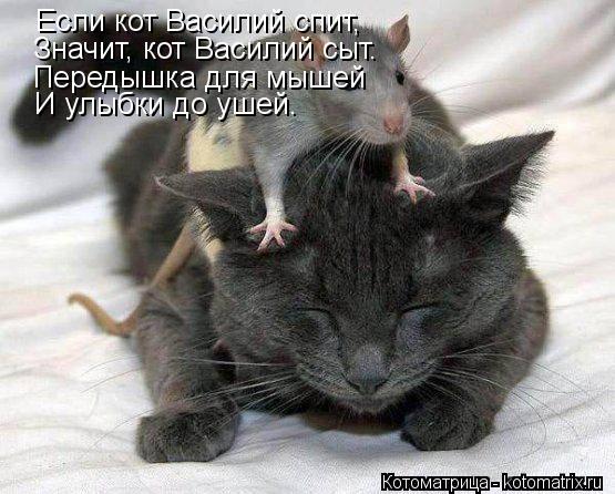 Котоматрица: Если кот Василий спит, Значит, кот Василий сыт. Передышка для мышей И улыбки до ушей.