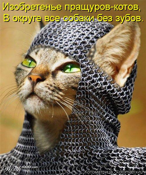 Изобретенье пращуров-котов, В округе все собаки без зубов.... Котоматрица: Изобретенье пращуров-котов, В округе все собаки без зубов.