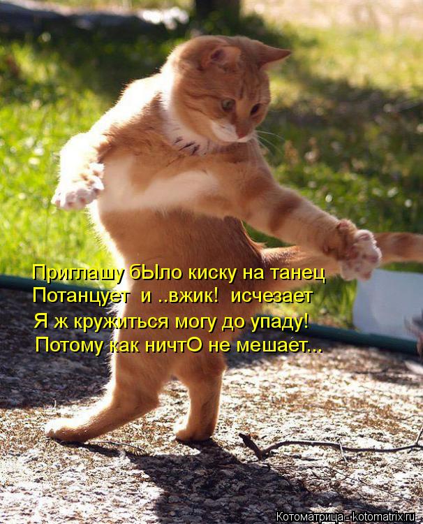 Приглашу бЫло киску на танец Потанцует и ..вжик! исчезает Я ж кружиться могу до упаду! Потому как н... Котоматрица: Приглашу бЫло киску на танец Потанцует и ..вжик! исчезает Я ж кружиться могу до упаду! Потому как ничтО не мешает...