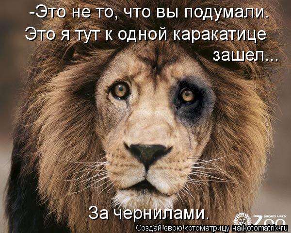 -Это не то, что вы подумали. Это я тут к одной каракатице зашел... За чернилами.... Котоматрица: -Это не то, что вы подумали. Это я тут к одной каракатице зашел... За чернилами.