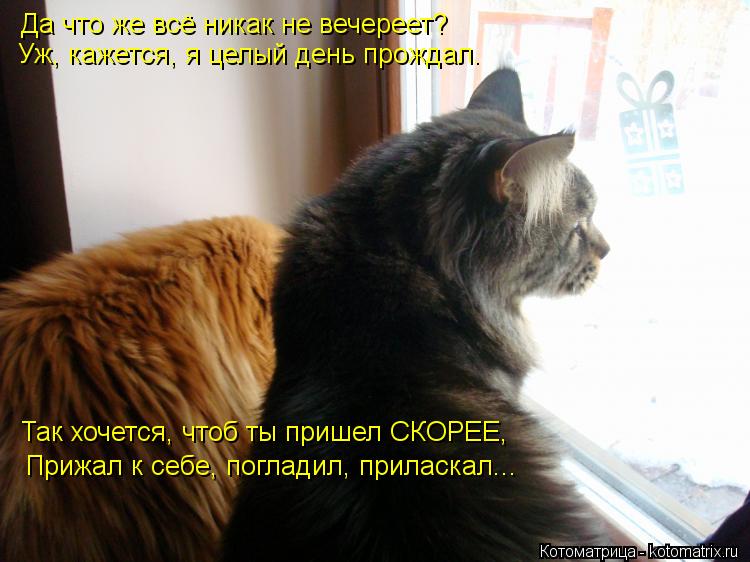 Да что же всё никак не вечереет? Уж, кажется, я целый день прождал. Так хочется, чтоб ты пришел СКОР... Котоматрица: Да что же всё никак не вечереет? Уж, кажется, я целый день прождал. Так хочется, чтоб ты пришел СКОРЕЕ, Прижал к себе, погладил, приласкал...