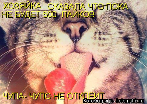 ХОЗЯЙКА СКАЗАЛА ЧТО ПОКА НЕ БУДЕТ 500 ЛАЙКОВ ЧУПА- ЧУПС НЕ ОТКЛЕИТ... Котоматрица: ХОЗЯЙКА СКАЗАЛА ЧТО ПОКА НЕ БУДЕТ 500 ЛАЙКОВ ЧУПА- ЧУПС НЕ ОТКЛЕИТ