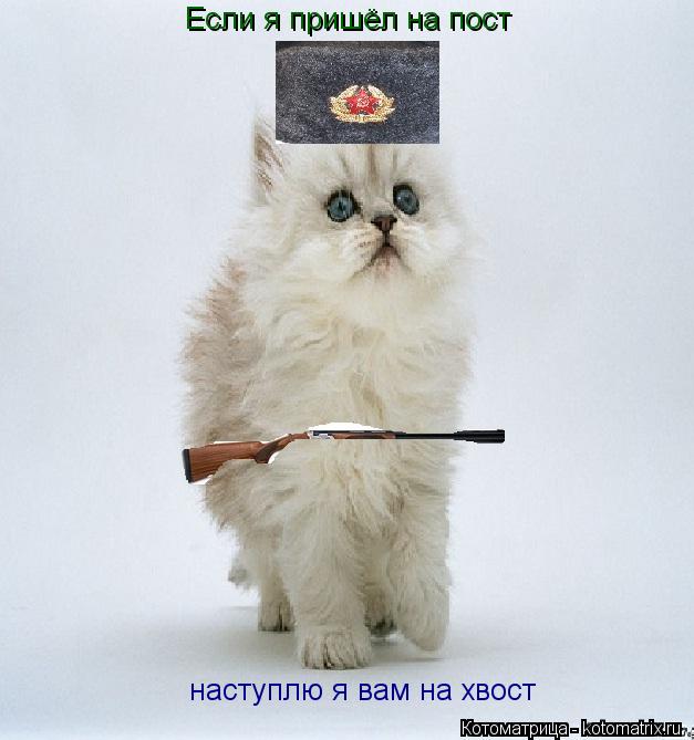 Если я пришёл на пост наступлю я вам на хвост... Котоматрица: Если я пришёл на пост наступлю я вам на хвост