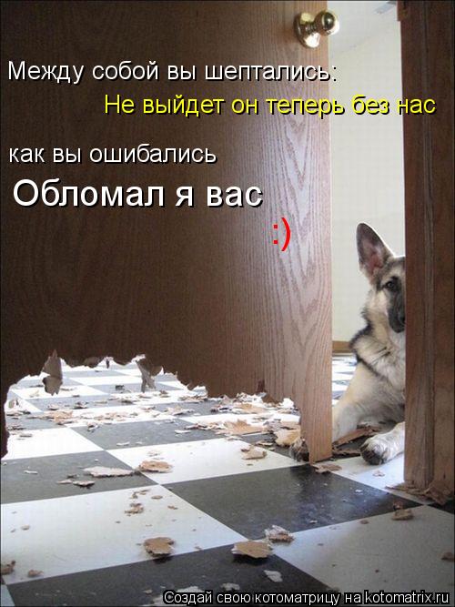 Между собой вы шептались: Не выйдет он теперь без нас как вы ошибались Обломал я вас :)... Котоматрица: Между собой вы шептались: Не выйдет он теперь без нас как вы ошибались Обломал я вас :)