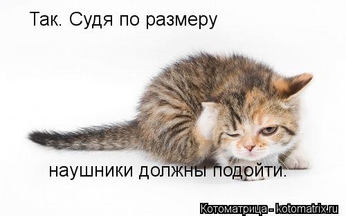 Так. Судя по размеру наушники должны подойти.... Котоматрица: Так. Судя по размеру наушники должны подойти.