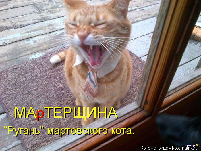 МАрТЕРЩИНА "Ругань" мартовского кота. р... Котоматрица: МАрТЕРЩИНА "Ругань" мартовского кота. р