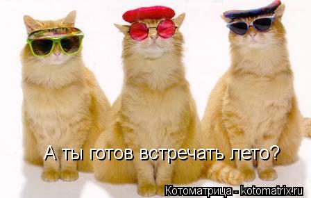 А ты готов встречать лето?... Котоматрица: А ты готов встречать лето?