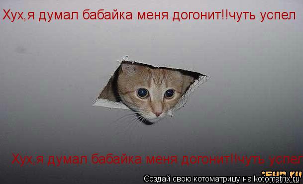 Хух,я думал бабайка меня догонит!!чуть успел Хух,я думал бабайка меня догонит!!чуть успел... Котоматрица: Хух,я думал бабайка меня догонит!!чуть успел Хух,я думал бабайка меня догонит!!чуть успел