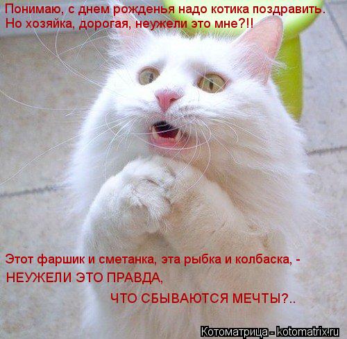 Понимаю, с днем рожденья надо котика поздравить. Но хозяйка, дорогая, неужели это мне?!! Этот фаршик ... Котоматрица: Понимаю, с днем рожденья надо котика поздравить. Но хозяйка, дорогая, неужели это мне?!! Этот фаршик и сметанка, эта рыбка и колбаска, - НЕУЖЕЛ