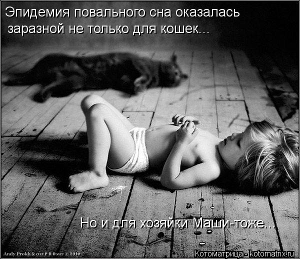 Эпидемия повального сна оказалась заразной не только для кошек... Но и для хозяйки Маши-тоже...... Котоматрица: Эпидемия повального сна оказалась заразной не только для кошек... Но и для хозяйки Маши-тоже...