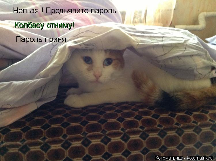 Нельзя ! Предьявите пароль Колбасу отниму! Пароль принят... Котоматрица: Нельзя ! Предьявите пароль Колбасу отниму! Пароль принят