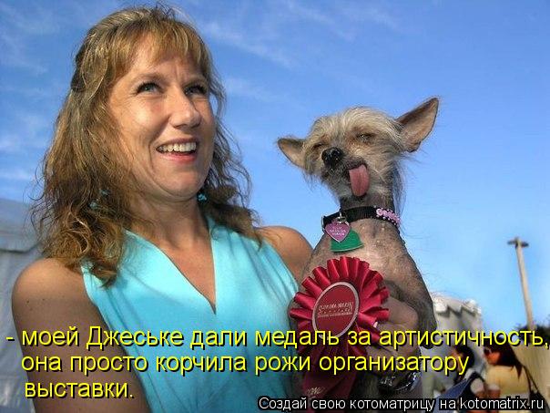 - моей Джеське дали медаль за артистичность, она просто корчила рожи организатору выставки.... Котоматрица: - моей Джеське дали медаль за артистичность, она просто корчила рожи организатору выставки.