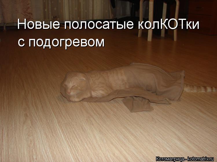 Новые полосатые колКОТки с подогревом... Котоматрица: Новые полосатые колКОТки с подогревом
