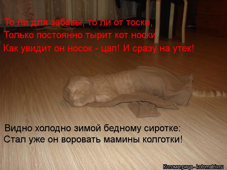 То ли для забавы, то ли от тоски, Только постоянно тырит кот носки. Как увидит он носок - цап! И сраз... Котоматрица: То ли для забавы, то ли от тоски, Только постоянно тырит кот носки. Как увидит он носок - цап! И сразу на утек! Видно холодно зимой бедному сиро
