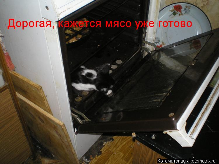 Дорогая, кажется мясо уже готово... Котоматрица: Дорогая, кажется мясо уже готово