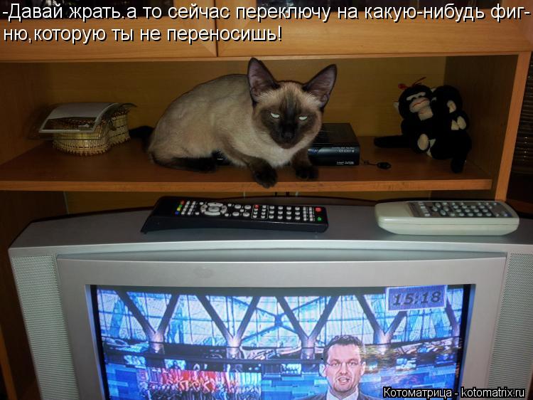 -Давай жрать.а то сейчас переключу на какую-нибудь фиг- ню,которую ты не переносишь!... Котоматрица: -Давай жрать.а то сейчас переключу на какую-нибудь фиг- ню,которую ты не переносишь!