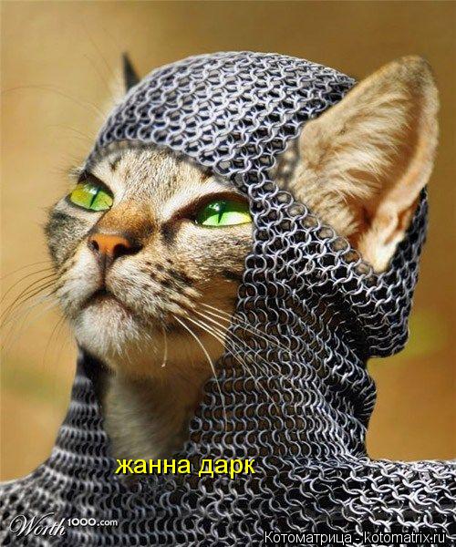 жанна дарк... Котоматрица: жанна дарк