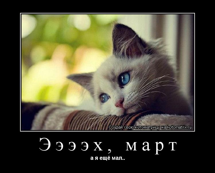 Ээээх, март а я ещё мал..... Котоматрица: Ээээх, март а я ещё мал..