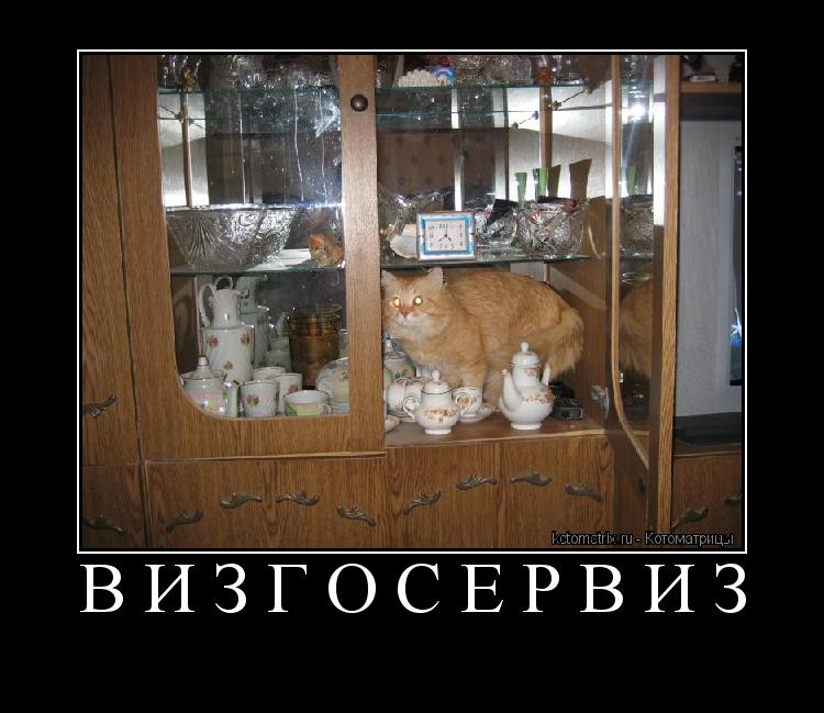 ВИЗГОСЕРВИЗ ... Котоматрица: ВИЗГОСЕРВИЗ