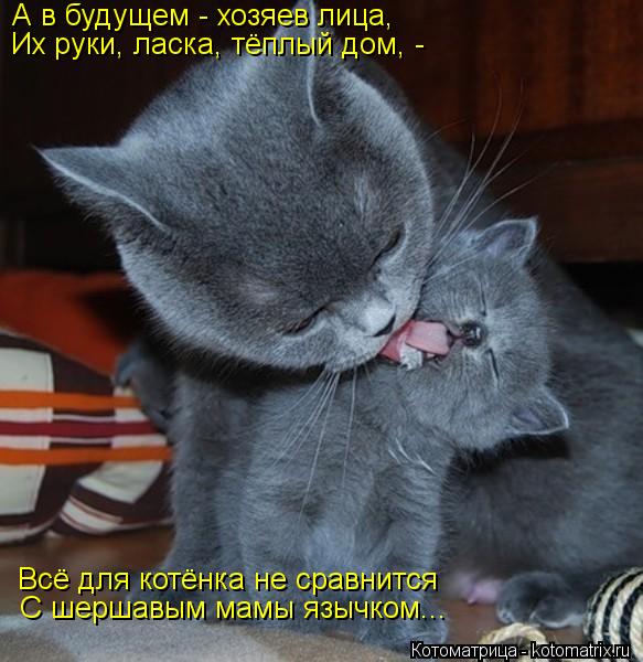 А в будущем - хозяев лица, Их руки, ласка, тёплый дом, - Всё для котёнка не сравнится С шершавым мамы... Котоматрица: А в будущем - хозяев лица, Их руки, ласка, тёплый дом, - Всё для котёнка не сравнится С шершавым мамы язычком...