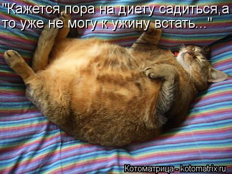 "Кажется,пора на диету садиться,а то уже не могу к ужину встать..."... Котоматрица: "Кажется,пора на диету садиться,а то уже не могу к ужину встать..."
