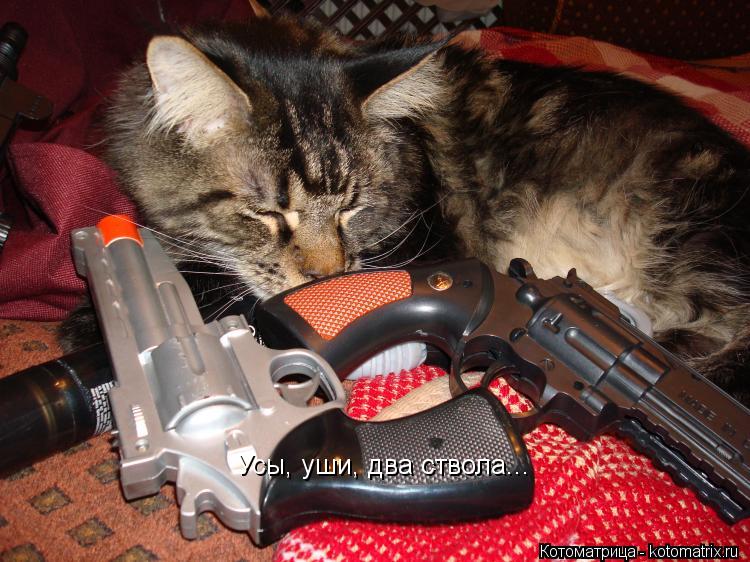 Котоматрица: Усы, уши, два ствола...