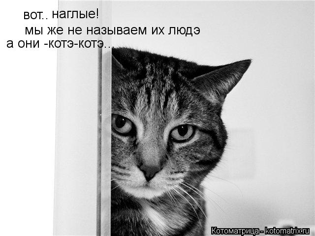 вот.. наглые! мы же не называем их людэ а они -котэ-котэ...... Котоматрица: вот.. наглые! мы же не называем их людэ а они -котэ-котэ...