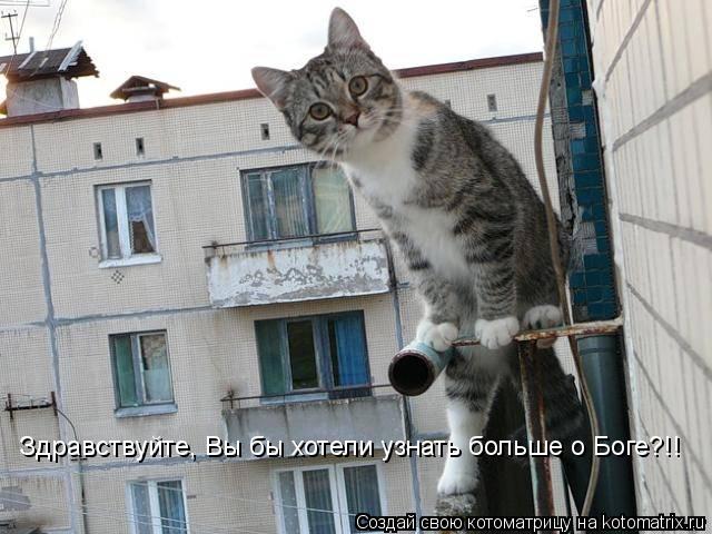 Котоматрица: Здравствуйте, Вы бы хотели узнать больше о Боге?!!