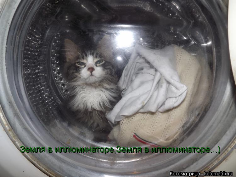 Земля в иллюминаторе,Земля в иллюминаторе...)... Котоматрица: Земля в иллюминаторе,Земля в иллюминаторе...)