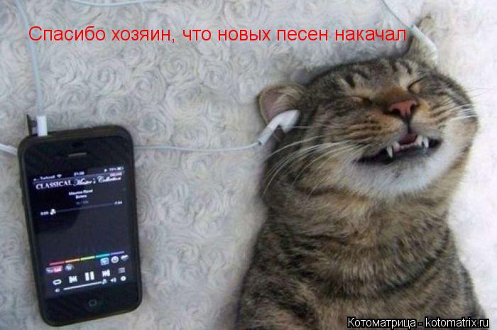 Спасибо хозяин, что новых песен накачал... Котоматрица: Спасибо хозяин, что новых песен накачал