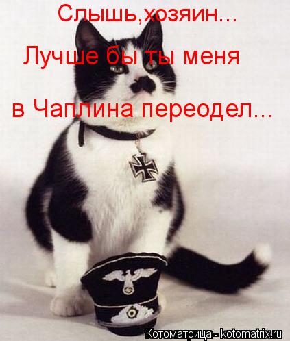 в Чаплина переодел... Слышь,хозяин... Лучше бы ты меня... Котоматрица: в Чаплина переодел... Слышь,хозяин... Лучше бы ты меня