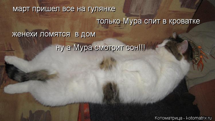 март пришел все на гулянке март пришел все на гулянке только Мура спит в кроватке женехи ломятся в д... Котоматрица: март пришел все на гулянке март пришел все на гулянке только Мура спит в кроватке женехи ломятся в дом ну а Мура смотрит сон!!!