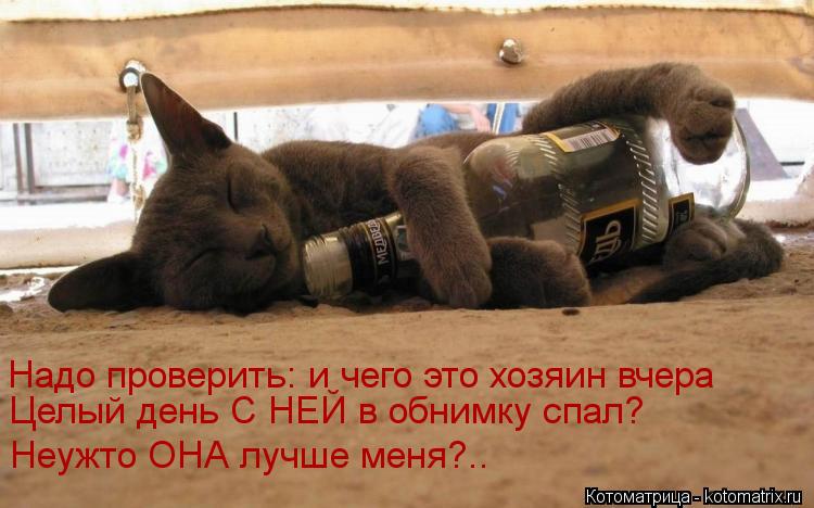 Котоматрица: Надо проверить: и чего это хозяин вчера  Целый день С НЕЙ в обнимку спал? Неужто ОНА лучше меня?..