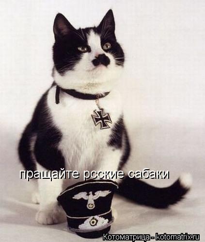 пращайте рсские сабаки... Котоматрица: пращайте рсские сабаки