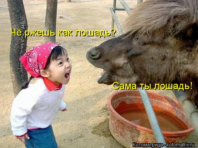 Чё ржешь как лошадь? Сама ты лошадь!... Котоматрица: Чё ржешь как лошадь? Сама ты лошадь!