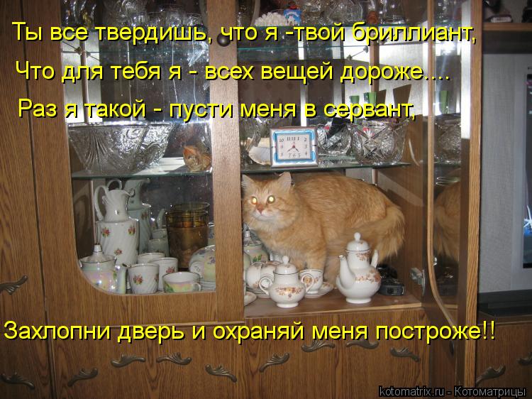Ты все твердишь, что я -твой бриллиант, Что для тебя я - всех вещей дороже.... Раз я такой - пусти ме... Котоматрица: Ты все твердишь, что я -твой бриллиант, Что для тебя я - всех вещей дороже.... Раз я такой - пусти меня в сервант, Захлопни дверь и охраняй меня п