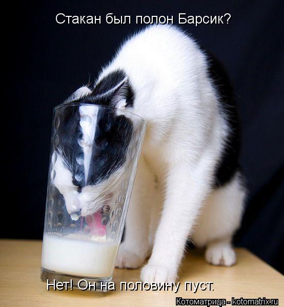 Котоматрица: Нет! Он на половину пуст. Стакан был полон Барсик?