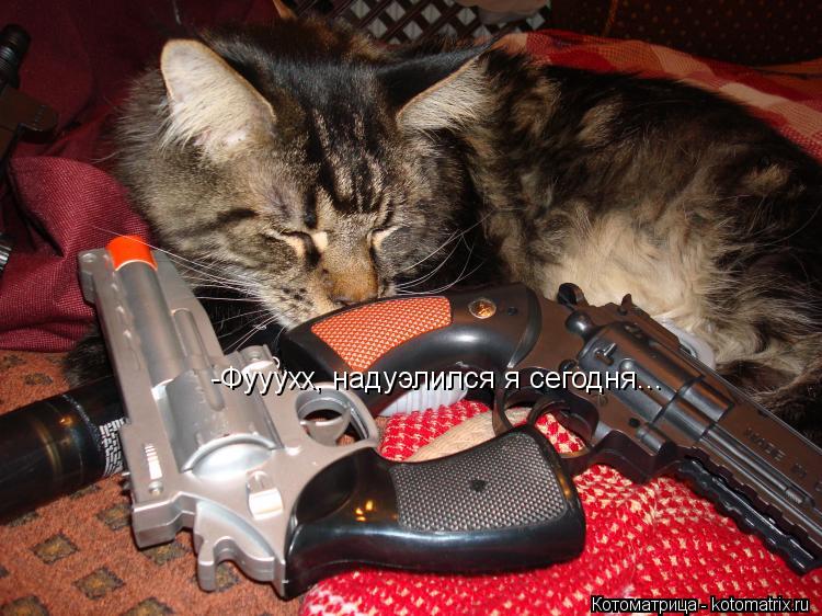 -Фууухх, надуэлился я сегодня...... Котоматрица: -Фууухх, надуэлился я сегодня...