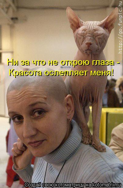 Ни за что не открою глаза - Красота ослепляет меня!... Котоматрица: Ни за что не открою глаза - Красота ослепляет меня!