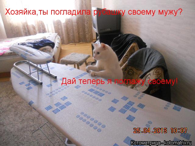 Хозяйка,ты погладила рубашку своему мужу? Дай теперь я поглажу своему!... Котоматрица: Хозяйка,ты погладила рубашку своему мужу? Дай теперь я поглажу своему!