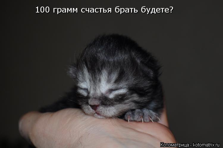 100 грамм счастья брать будете?... Котоматрица: 100 грамм счастья брать будете?