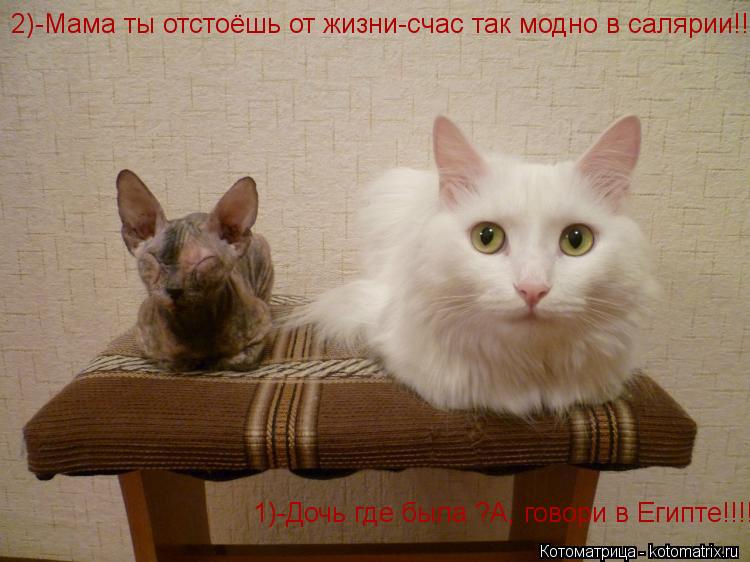1)-Дочь где была ?А, говори в Египте!!!! 2)-Мама ты отстоёшь от жизни-счас так модно в салярии!!!!!... Котоматрица: 1)-Дочь где была ?А, говори в Египте!!!! 2)-Мама ты отстоёшь от жизни-счас так модно в салярии!!!!!