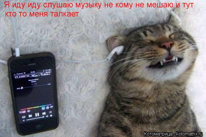 Я иду иду слушаю музыку не кому не мешаю и тут кто то меня талкает... Котоматрица: Я иду иду слушаю музыку не кому не мешаю и тут кто то меня талкает