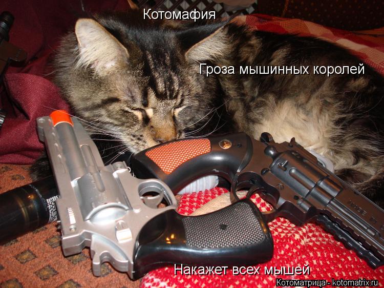 Котоматрица: Котомафия Гроза мышинных королей Накажет всех мышей