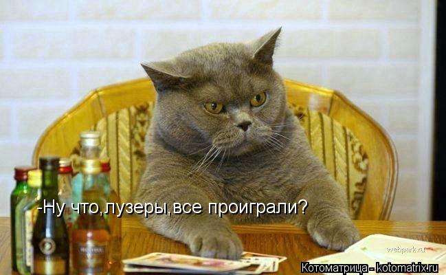 -Ну что,лузеры,все проиграли?... Котоматрица: -Ну что,лузеры,все проиграли?