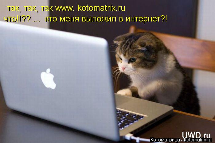 так, так, так www. kotomatrix.ru что!!?? ... кто меня выложил в интернет?!... Котоматрица: так, так, так www. kotomatrix.ru что!!?? ... кто меня выложил в интернет?!