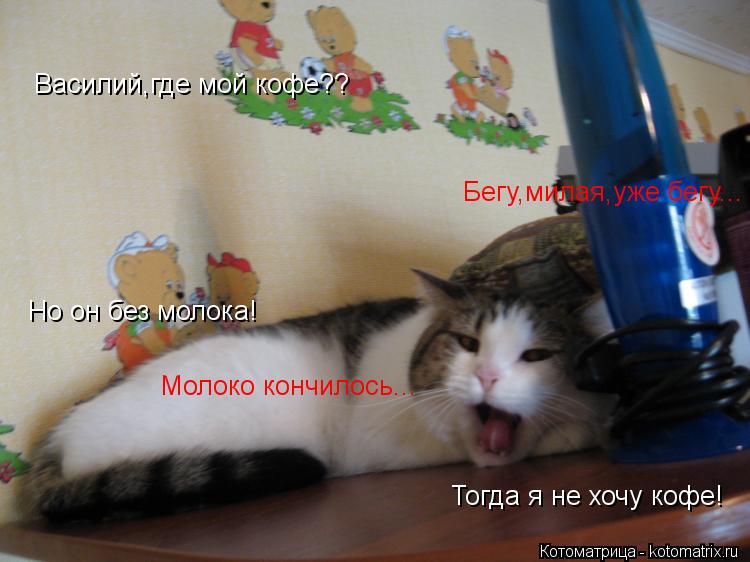 Василий,где мой кофе?? Бегу,милая,уже бегу... Но он без молока! Молоко кончилось... Тогда я не хочу к... Котоматрица: Василий,где мой кофе?? Бегу,милая,уже бегу... Но он без молока! Молоко кончилось... Тогда я не хочу кофе!